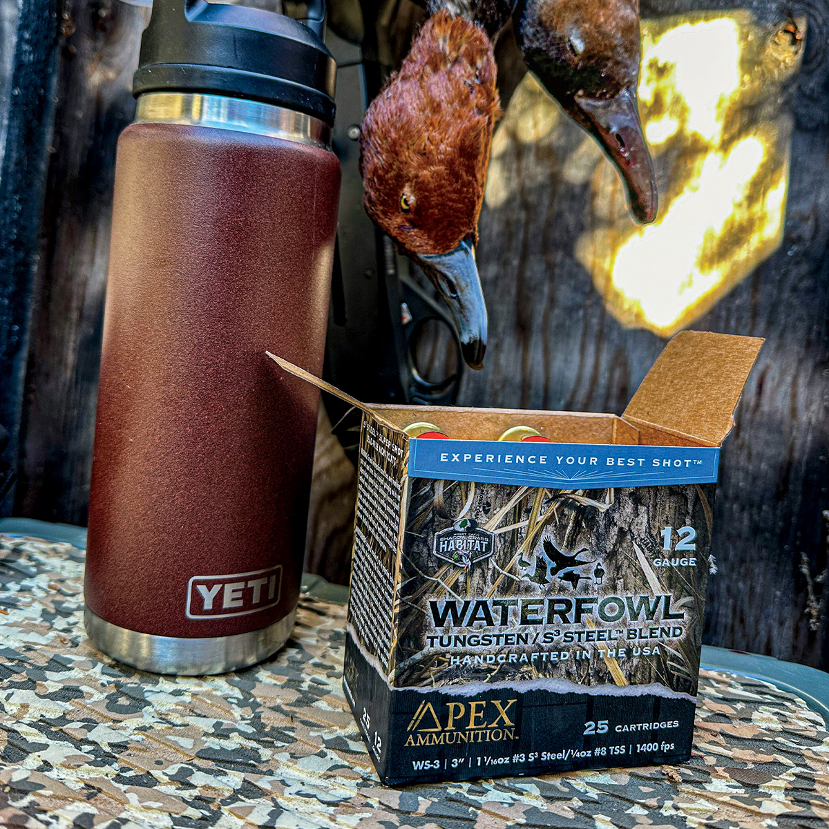 Ammo. Photo by Ryan Campbell